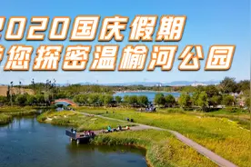 2020国庆假期老马带您探密温榆河公园 | 结尾有彩蛋视频封面