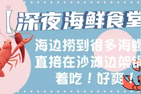 【深夜海鲜食堂】海边捞到很多海螺！直接在沙滩边架锅煮着吃！视频封面