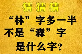 高难度谜语！“林”字多一半不是“森”字，还能是什么字？视频封面