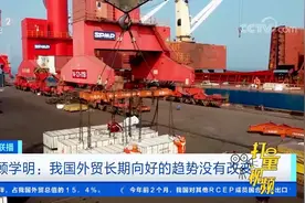 顾学明：我国外贸长期向好的趋势没有改变|经济信息联播视频封面