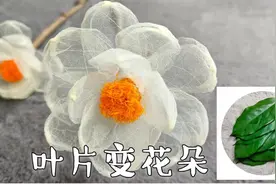 将普通的叶片变成仙气飘飘的花朵，手工制作轻松搞定，详细教程视频封面
