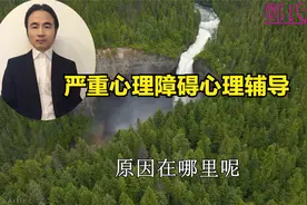 精神分裂症幻觉背后的原因破解了，幻觉自然就消失了视频封面