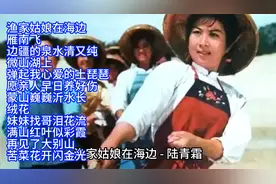 80年代优秀电影插曲精选12首联唱
