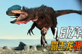 1.6亿年前五彩冠龙，用9000万年成为霸王龙，体重增加80倍视频封面