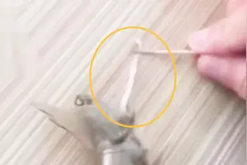 虾头扯出的白线真是“寄生虫”吗？吃货：还能不能愉快的吃虾了视频封面
