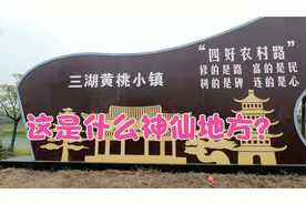 荆州三湖农场的桃花开了，犹如世外桃源，要是错过了又要等一年。视频封面