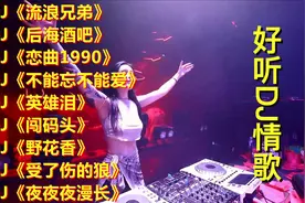 抖音DJ洗脑神曲<流浪兄弟><后海酒吧><恋曲1990><英雄泪>，醉好听视频封面