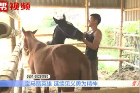 宝马赠英雄！100多个小时的万里跋涉，新疆“天马”安全抵达新视频封面