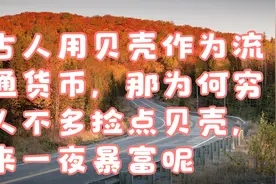 古人用贝壳作为流通货币，那为何穷人不多捡点贝壳，来一夜暴富呢视频封面