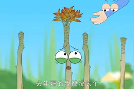 香椿的采摘，你了解吗，不要摘错了哦，看看虎爸说的就知道了。视频封面