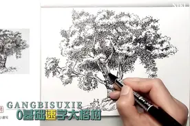 他的视频简单易懂，一步步教你画速写，画好去写生还难吗？大榕树视频封面