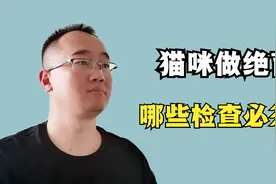 给猫咪做绝育手术，记住这3个标准，就明白这些检查该不该做视频封面