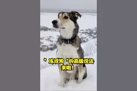 古人是如何花式表达“好冷”的，别再只说“冻成狗”啦！视频封面