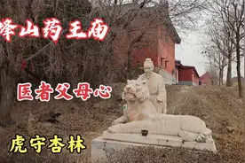 医生为什么称“杏林中人”？这称呼源自药王，天津西青有座药王庙视频封面