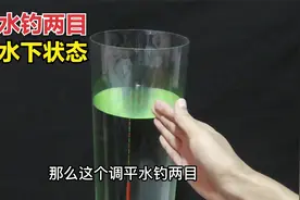 钓鱼调平水钓两目，钩饵在水下是悬浮是躺底？看看水底实际状态视频封面