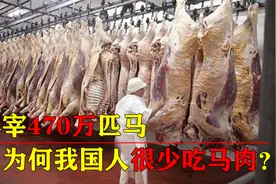 每年470多万匹马被屠宰，我国却很少有人吃马肉，是因为不好吃吗视频封面