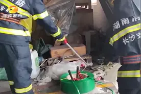 蛇出没！长沙星沙包装厂内惊现一条长黑蛇，有人手腕粗视频封面