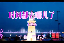 《时间都去哪儿了》（王铮亮）视频封面