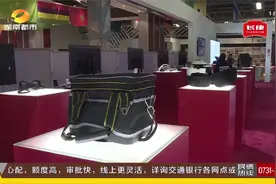 第三届湖南跨境电商对日出口贸易推介会开幕，助力湘品出海视频封面