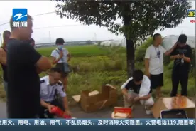 无证运输被查！大巴私运228条中华烟 价值高达十余万视频封面