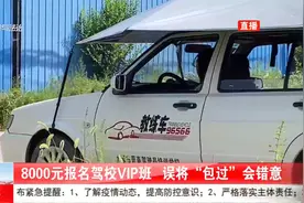 8000元“包过”？男子报名驾校VIP班，结果科二“二连挂”视频封面