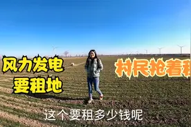 河南农村修建风力发电，占耕地一年给3000元补贴，村民都非常乐意视频封面