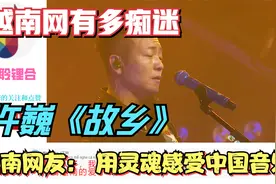 越南网对许巍《故乡》有多痴迷，越南网友： 用灵魂感受中国音乐视频封面