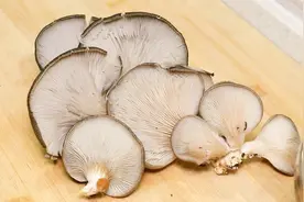 在家炒蘑菇怎么做才好吃，教你一招，香味浓郁不出汤，下酒又下饭视频封面