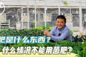 菌肥是什么东西？什么情况不能用菌肥？养花巧妙小知识！视频封面