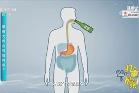 酒精为何会导致胃癌？专家进行讲解，来看动画演示|健康之路视频封面