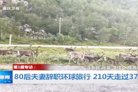 重庆电视台第1眼新闻采访播放视频录屏视频封面