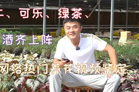 各种饮料齐上阵，奇葩饮品浇花合集。网络热门养花视频鉴定视频封面