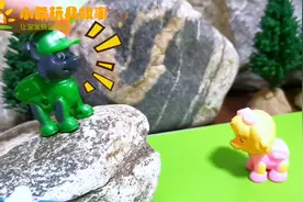 汪汪队狗狗们举行跳高比赛，谁跳的最高呢？视频封面