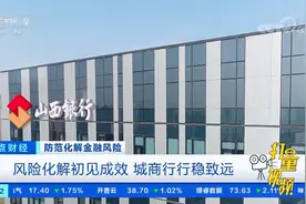 风险化解初见成效，城商行行稳致远|正点财经视频封面