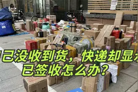 明明自己没有收到货，快递却显示已签收咋回事？教你一招轻松解决视频封面