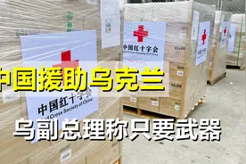 好心当成驴肝肺！中国援乌却被反咬，乌克兰对华提了两个要求视频封面