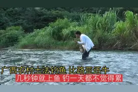 广西农村土法钓鱼，比路亚好玩，几秒钟就上鱼，钓一天都不觉得累视频封面