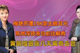 黄朗维怒扇梅艳芳耳光，向太深夜独自前往，对方嚣张几天人就没了视频封面