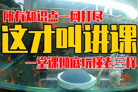 中国鱼协总教头亮哥超详细教你如何养好红箭，火炬和黑玛丽（上）视频封面