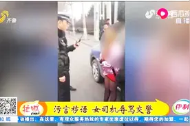 “我凭什么交给你！”潍坊女司机挂假牌猖狂上路，路遇交警当街撒泼视频封面