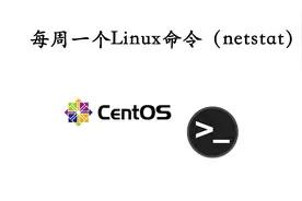 每周一个linux命令（netstat）视频封面