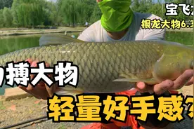 钓力强悍，无惧大物，轻量好手感？测评：宝飞龙-银龙大物6.3米！视频封面