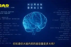 人类大脑内存有多少？为什么有些事情总是会忘记？视频封面