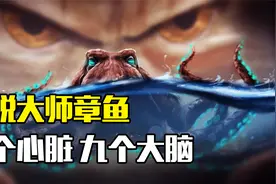 3颗心脏9个大脑，章鱼明明可以称霸海洋，为何选择自杀式繁衍视频封面