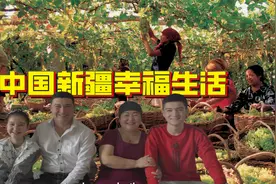 外网看中国新疆人的美好生活，老外网友：世界上最幸福的穆斯林！视频封面