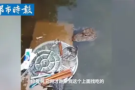 安徽女子河边洗碗遇扬子鳄视频封面