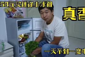 华子358元买迷你小冰箱，冷藏加冷冻，一天不到1度电，到底值不值视频封面