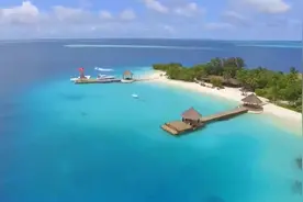 在大人眼里玩一小时手机眼睛会瞎，而看十小时书眼睛就没事。视频封面