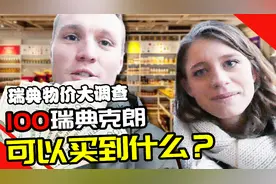 在瑞典，100克朗（约76元）能买些什么？