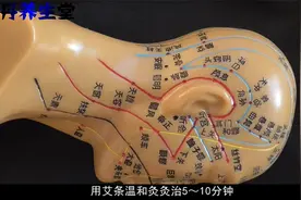 头窍阴穴主治疾病：眩晕，耳鸣，耳聋，头痛，三叉神经痛等视频封面